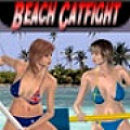 Beach Catfight - Pick your figure and try to win the fight.