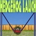 Hedgehog Launch - Launch your hedgehog and earn money by hitting things.