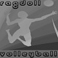 Ragdoll Volleyball - Play volleyball with a ragdoll ... what is next? 