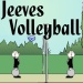 Jeeves Volleyball - Interesting twist. Would you fancy a game, sir?